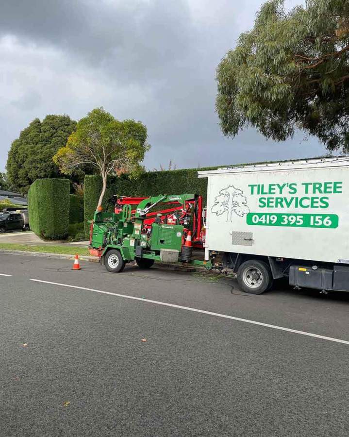 Wood Chipping Service Ashburton and in Melbourne’s Eastern and South Eastern Suburbs