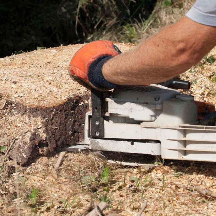 Remove Unsightly Stumps with Precision and Professionalism—Call Us Today !
