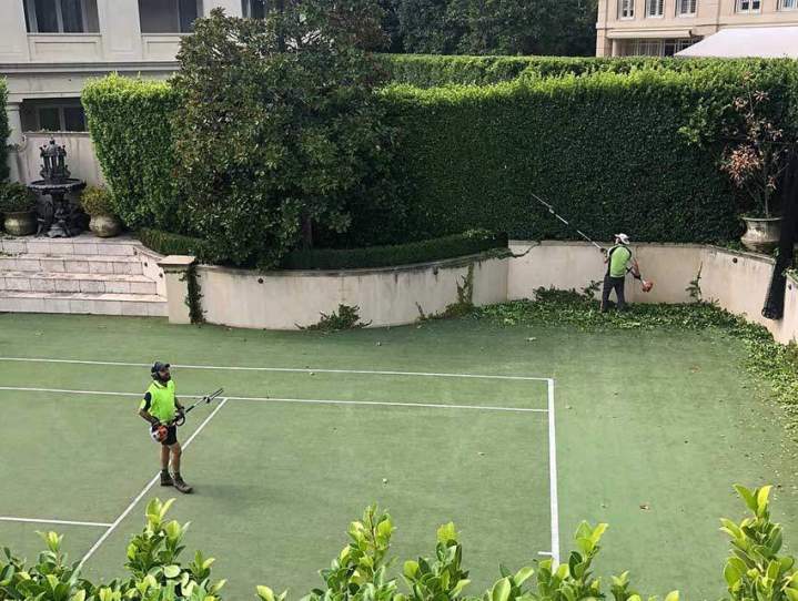 Hedge Trimming Ashburton and in Melbourne’s Eastern and South Eastern Suburbs